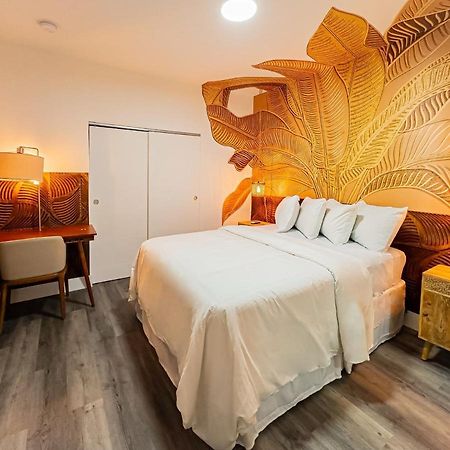 Wynwood Apartments And Studios Miami Eksteriør billede